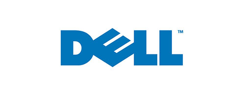 DELL partner